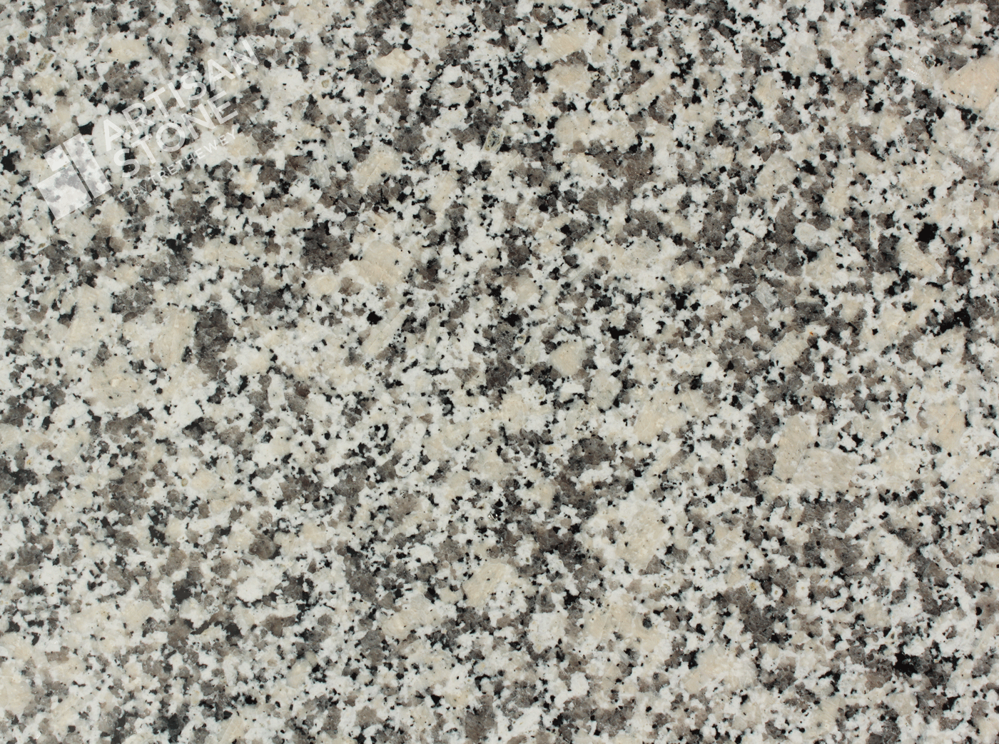 Bianco Sardo - Granite - Close Up